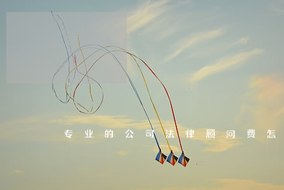 公司聘請專業(yè)法律顧問的費用計算與法律事務(wù)代理指南