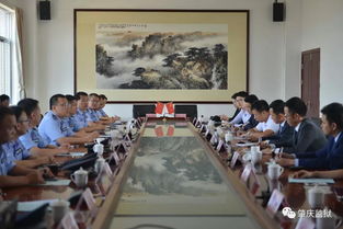 工作動態(tài) | 聚焦法律事務(wù)代理 流程優(yōu)化與專業(yè)提升